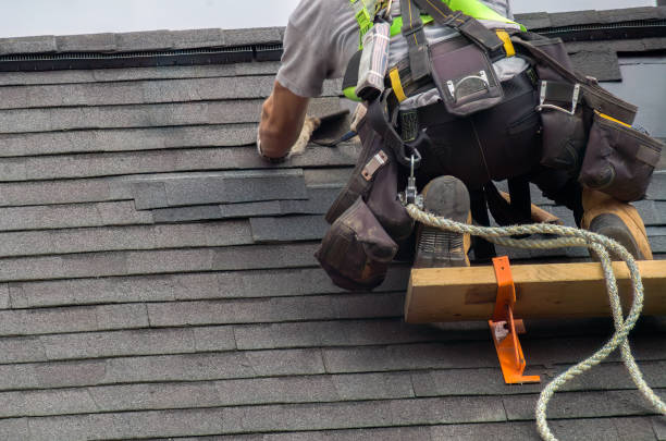 Roof Gutter Cleaning in Dardenne Prairie, MO